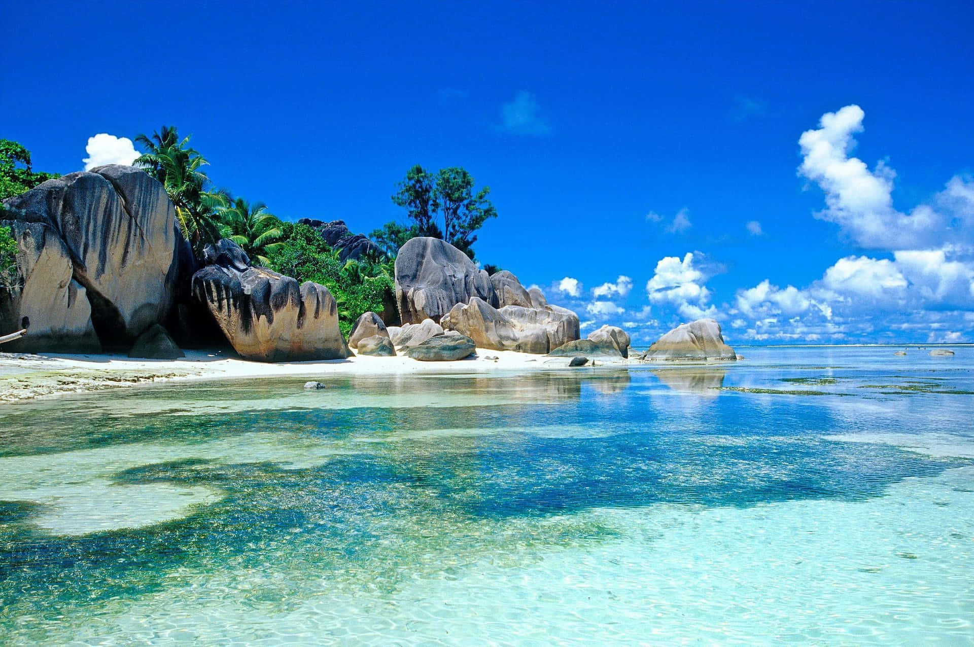 Oceanic travel banner